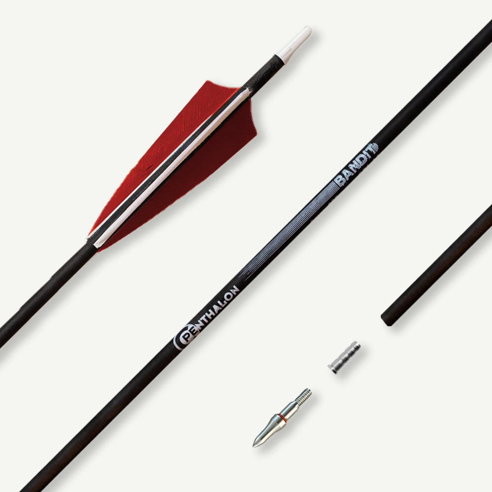 Penthalon Carbonpfeile Bandit mit Naturfedern